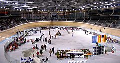 Palma Arena, pino siberiano a precio de oro
