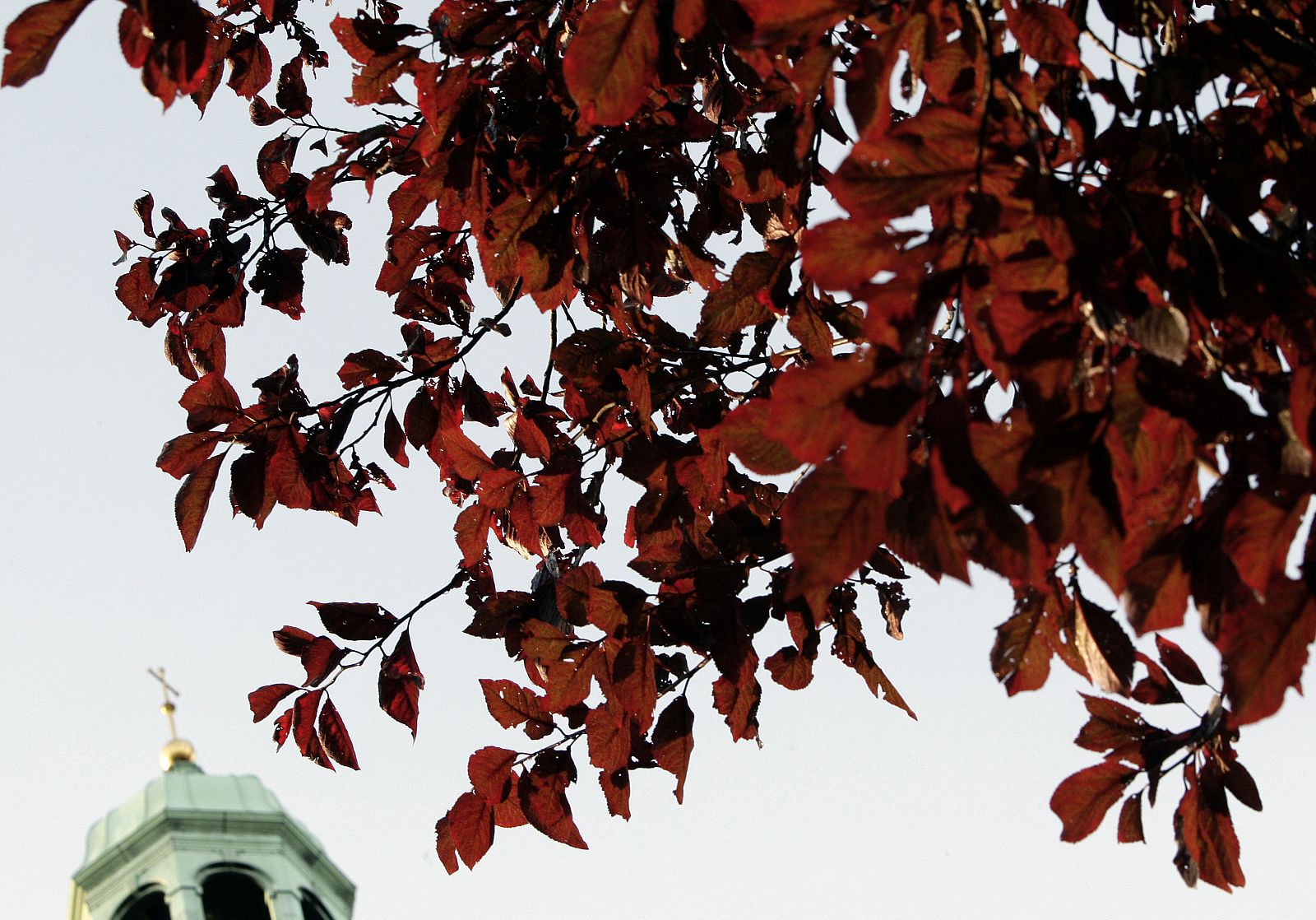 The Carillon is seen behind the leaves of a tree in Loughborough, central England