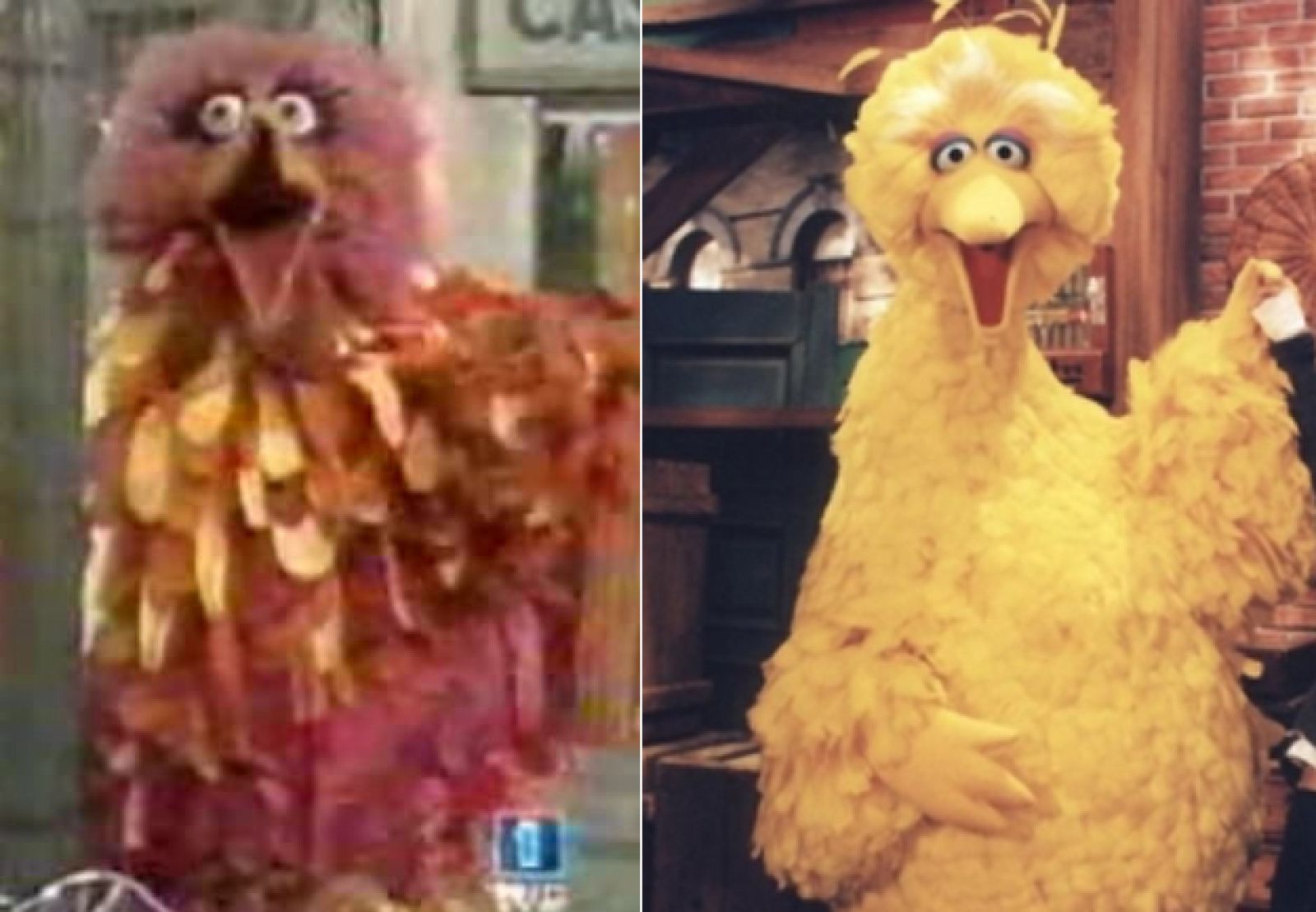 ¿Quién es Caponata?