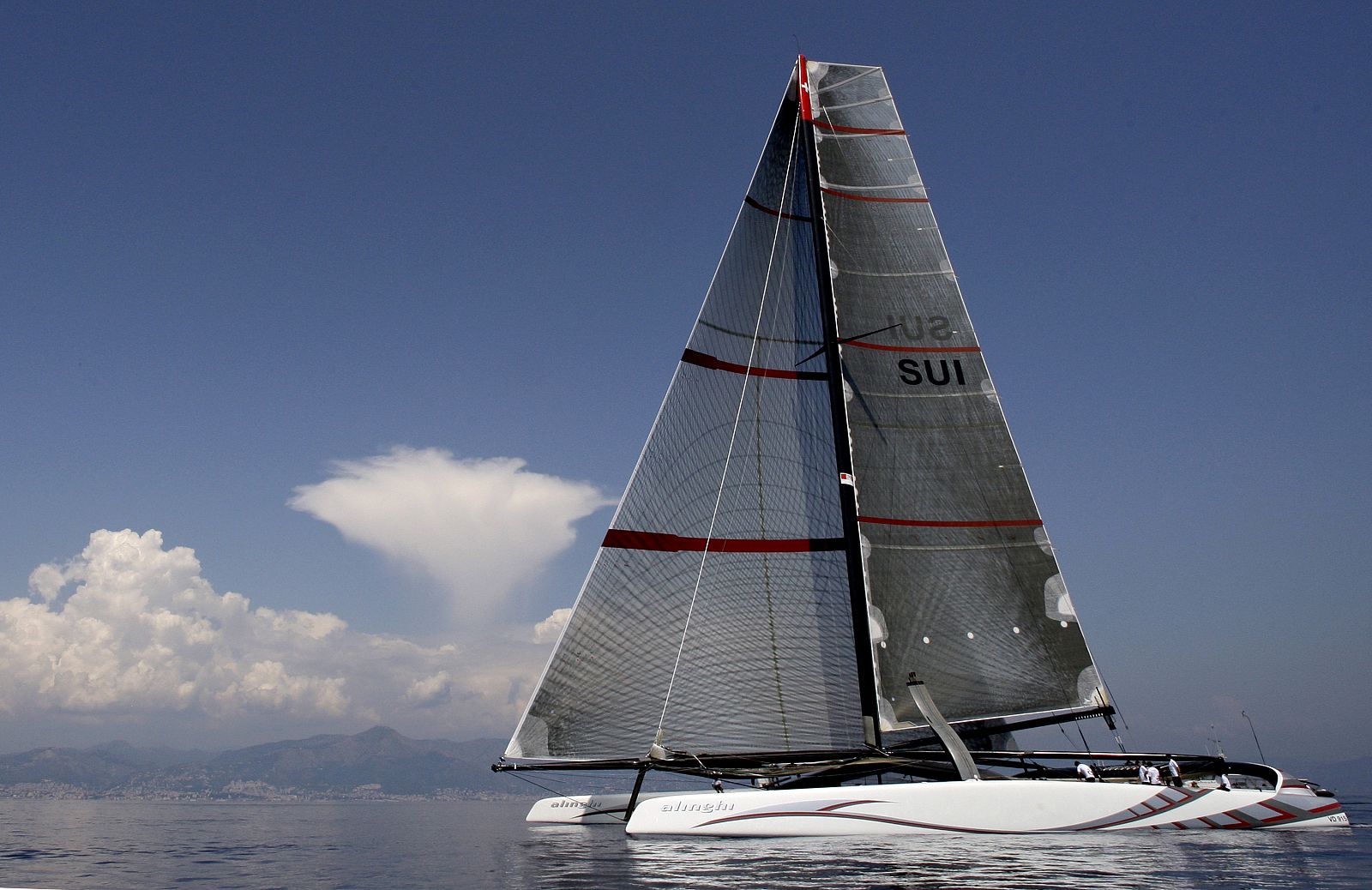 Alinghi