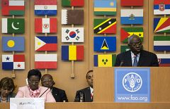 Huelga de hambre solidaria a 24 horas de la Cumbre de la FAO