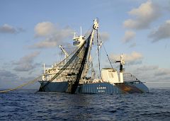 Los piratas anuncian la liberación del Alakrana tras el pago de más de dos millones de euros