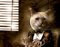 Un calendario 'de película' para promover la adopción de animales abandonados