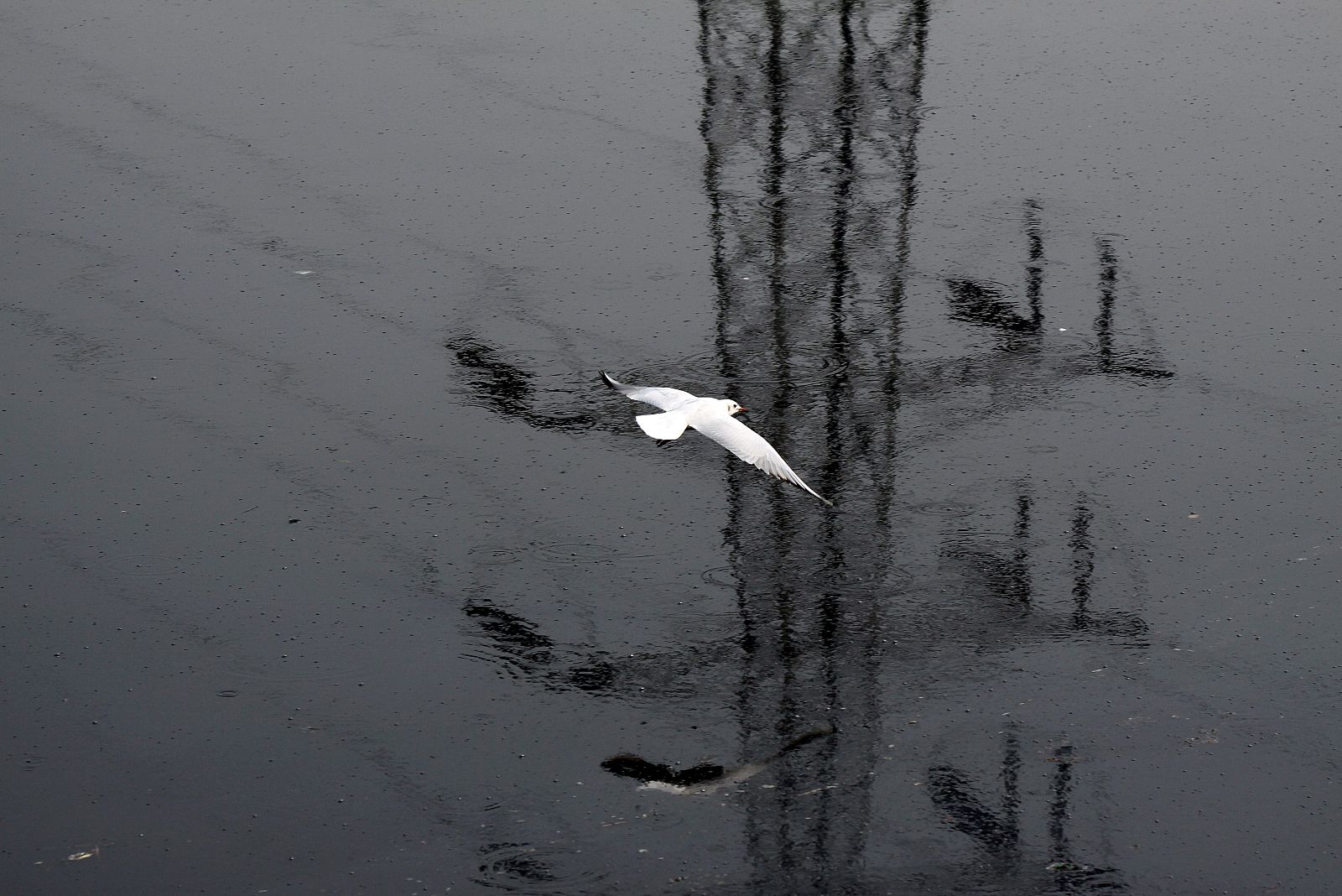 Cumbre sobre el cambio climático en Copenhague
