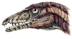 Un nuevo fósil altera el árbol evolutivo de los dinosaurios