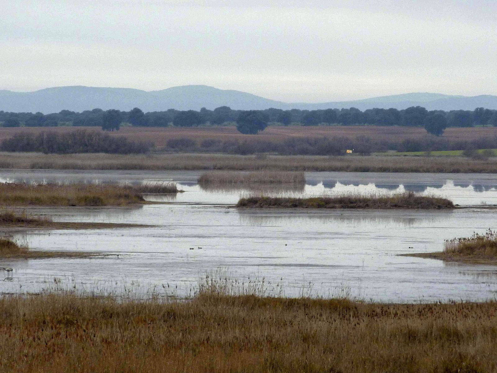 PARQUE NACIONAL DE LAS TABLAS DE DAIMIEL