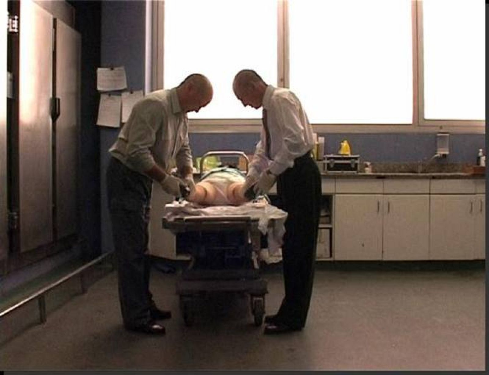 metropolis profesiones de funcion