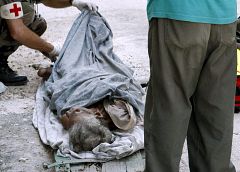 Consiguen sacar con vida de entre los escombros a una mujer de 84 años