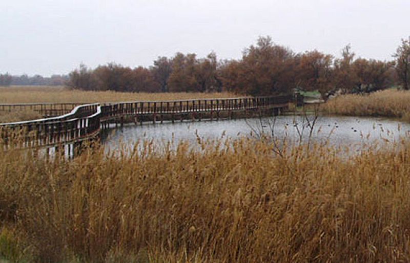 Las Tablas de Daimiel. Crónica de un espejismo