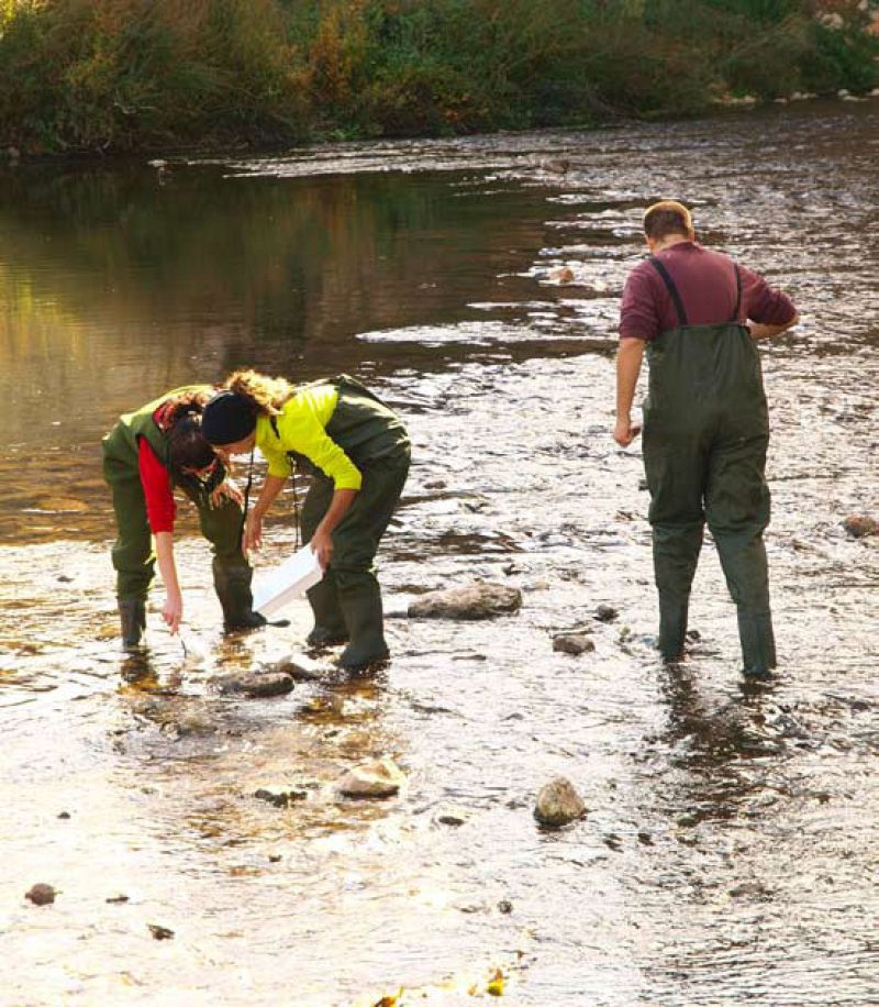 Más de 120 toneladas de basura, recogidas de los ríos en 2009 por voluntarios
