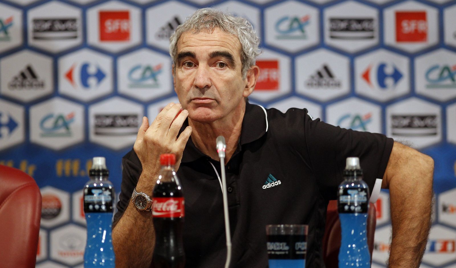 Raymond Domenech