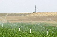 La Comisión Europea autoriza el cultivo de transgénicos por primera vez en 12 años