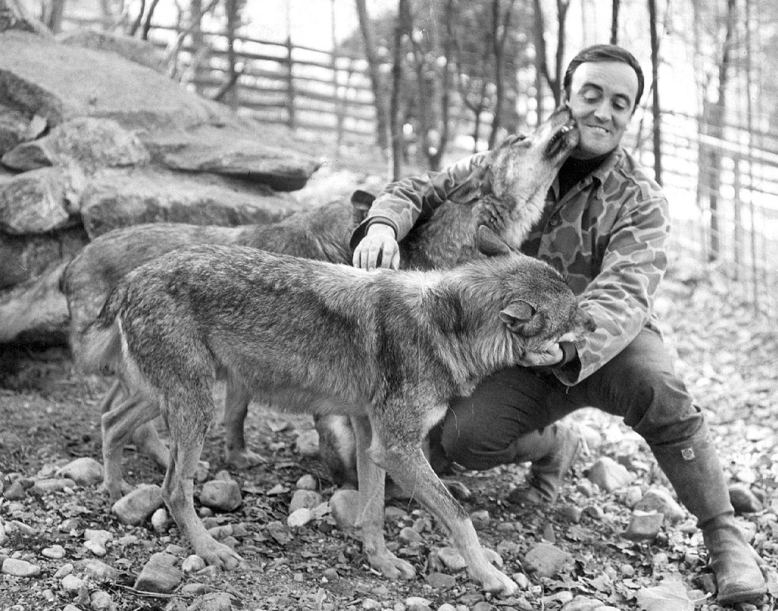 Félix, 'el amigo de los animales'