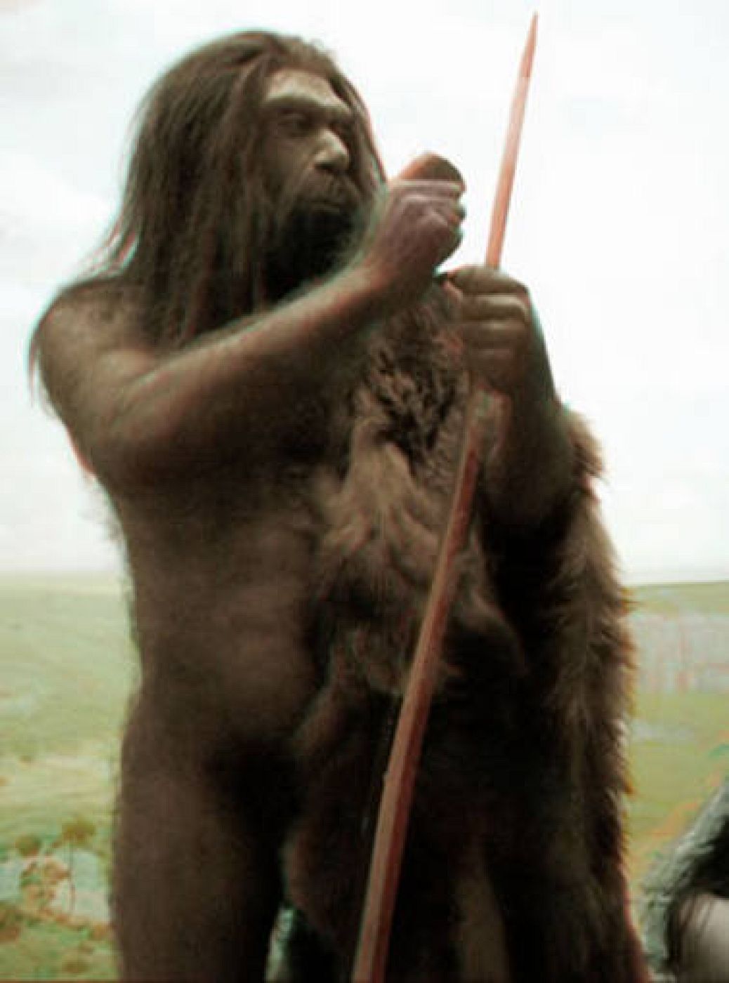 Hombre del Neandertal