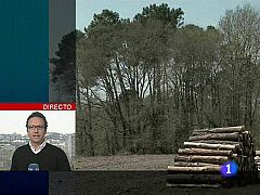 Hallan dos zulos de ETA en Francia con explosivo, armas y material para bombas
