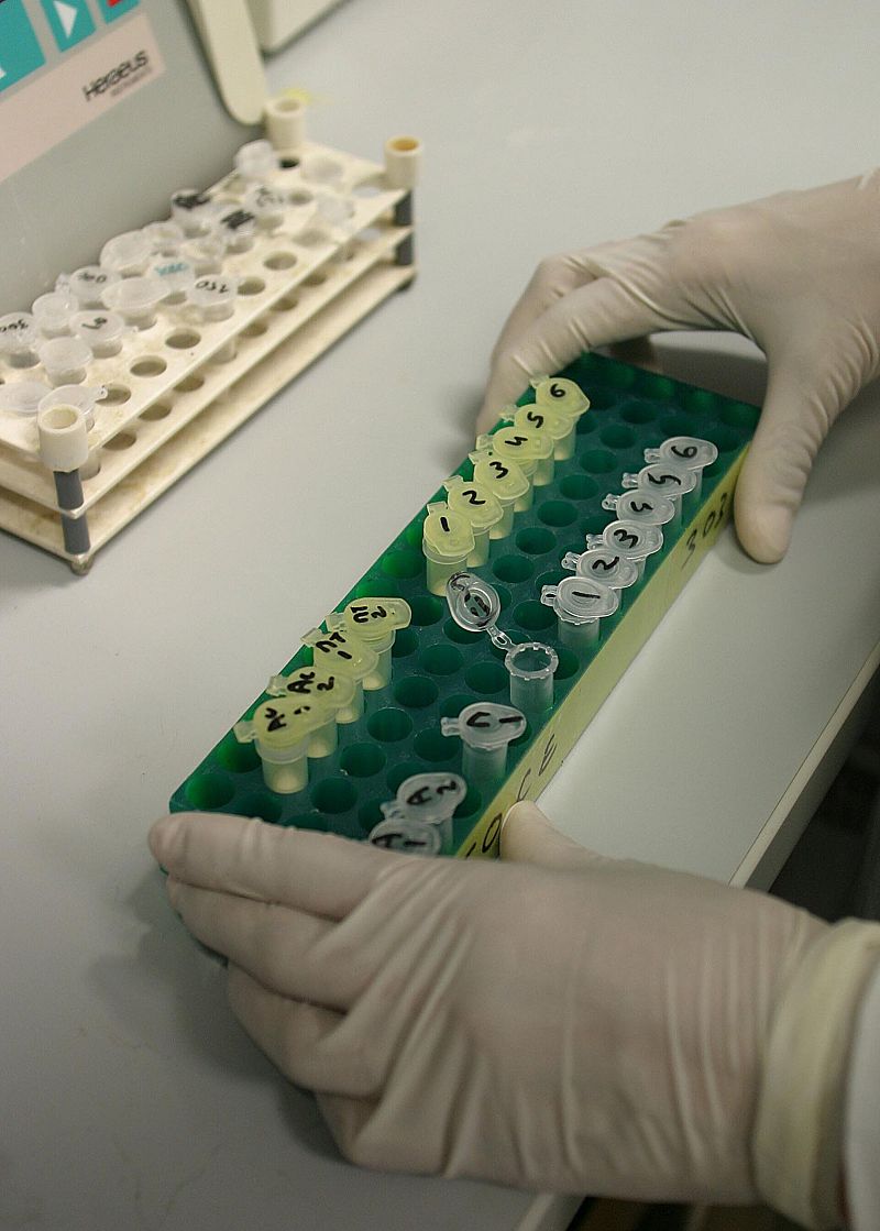 Fuga de cerebros o inversión. Europa reflexiona sobre su inversión en I+D