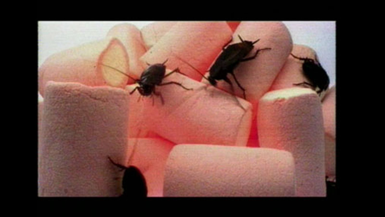 Pretty short war, de Luis Cerveró