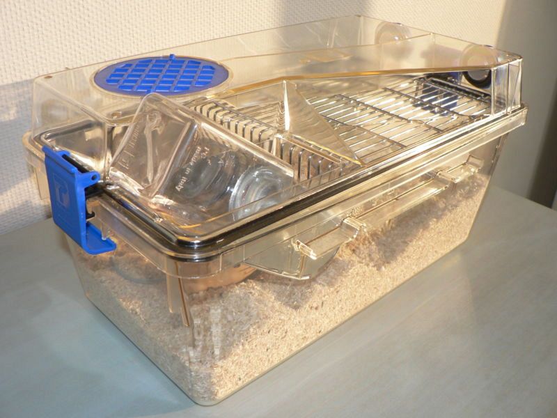 Cambios básicos en la nueva legislación para experimentar con animales