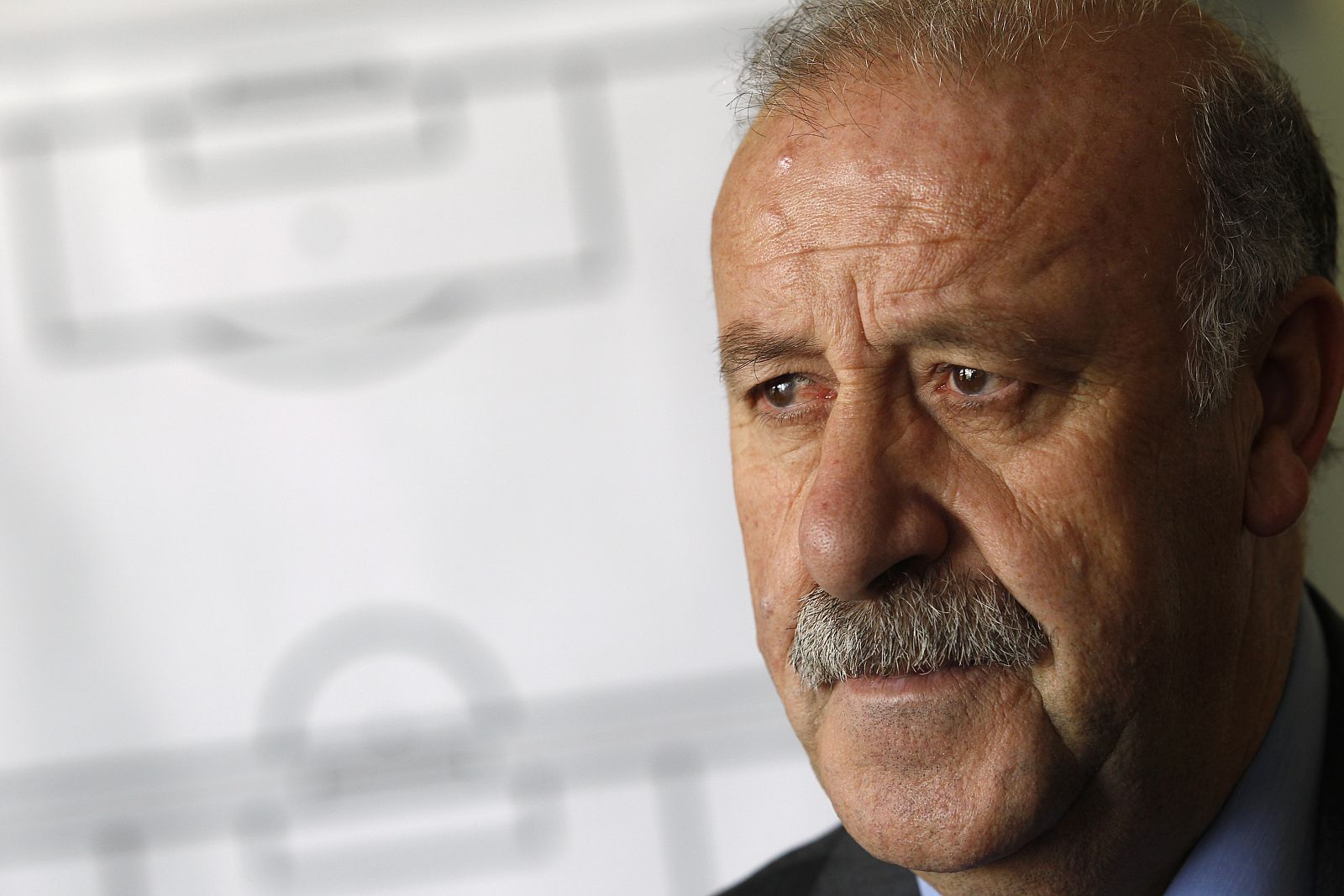 El seleccionador Vicente del Bosque.