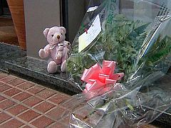 El padre de los niños asesinados en Lloret ejercía de médium televisivo antes de fugarse a España