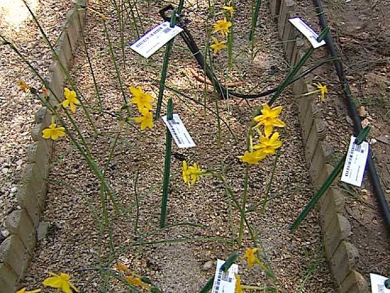 Apenas un 25 % de los españoles conoce el significado de biodiversidad