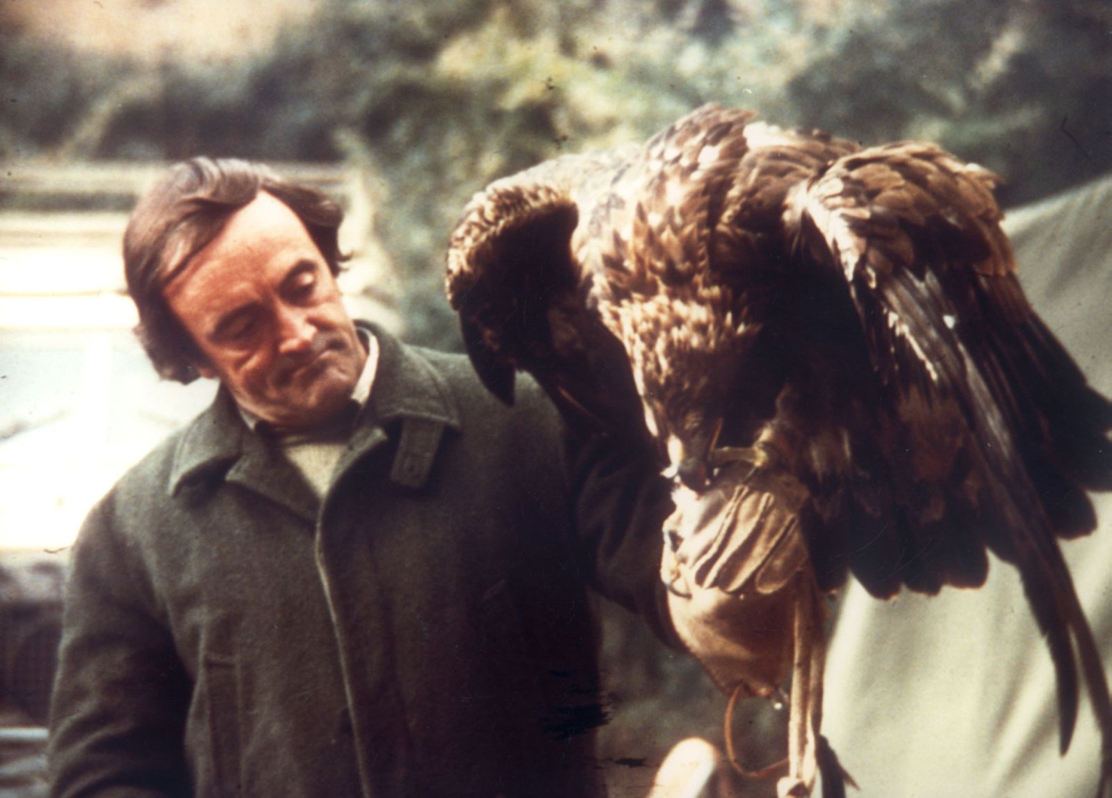 Félix Rodríguez de la Fuente practicando su gran pasión, la cetrería