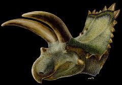 Un dinosaurio con unos cuernos de récord