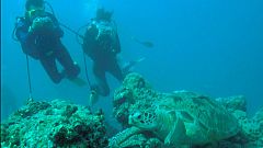 Jacques Cousteau, el hombre que nos descubrió los océanos