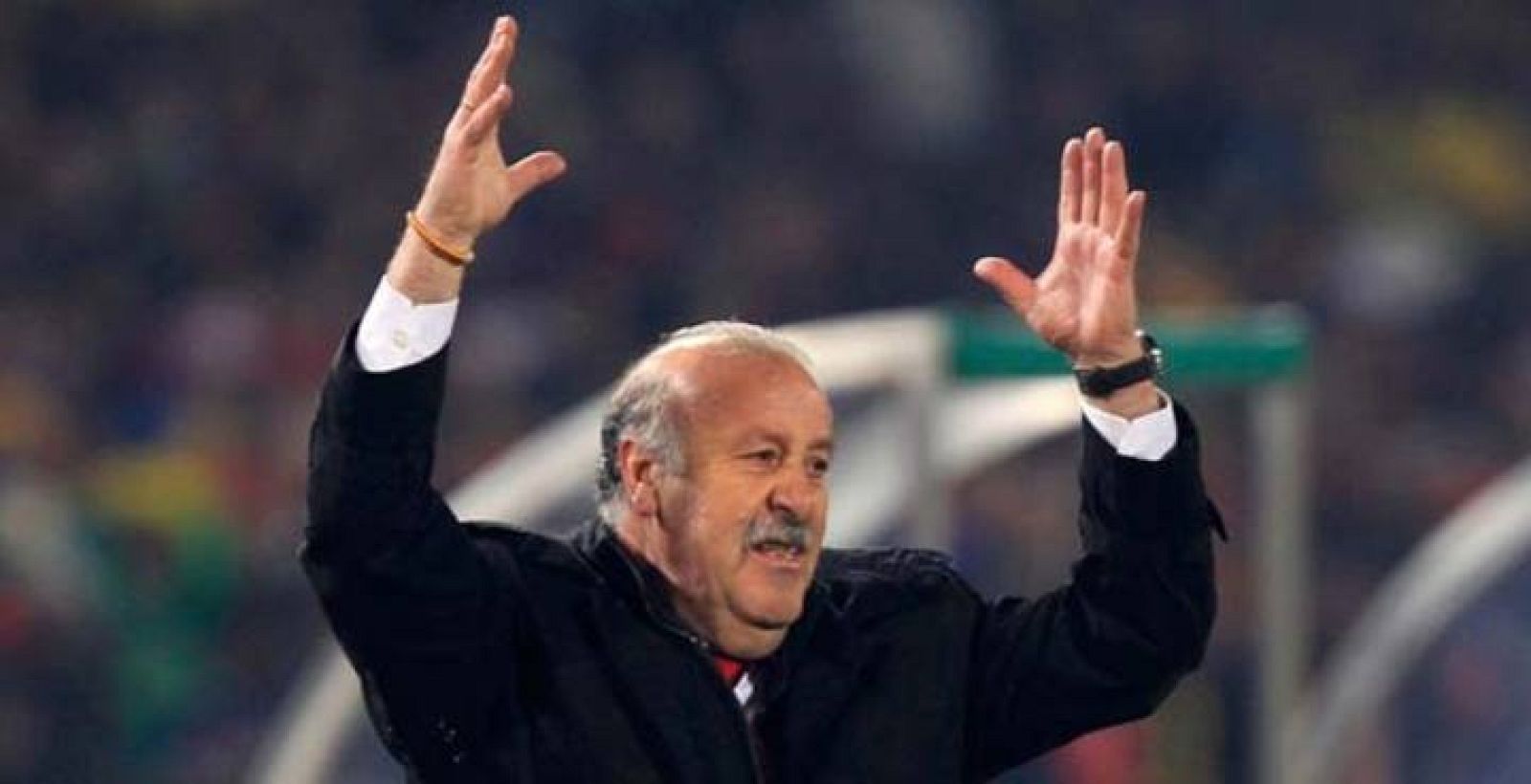 Vicente Del Bosque