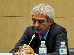 Domenech culpa a la prensa del motín de Francia