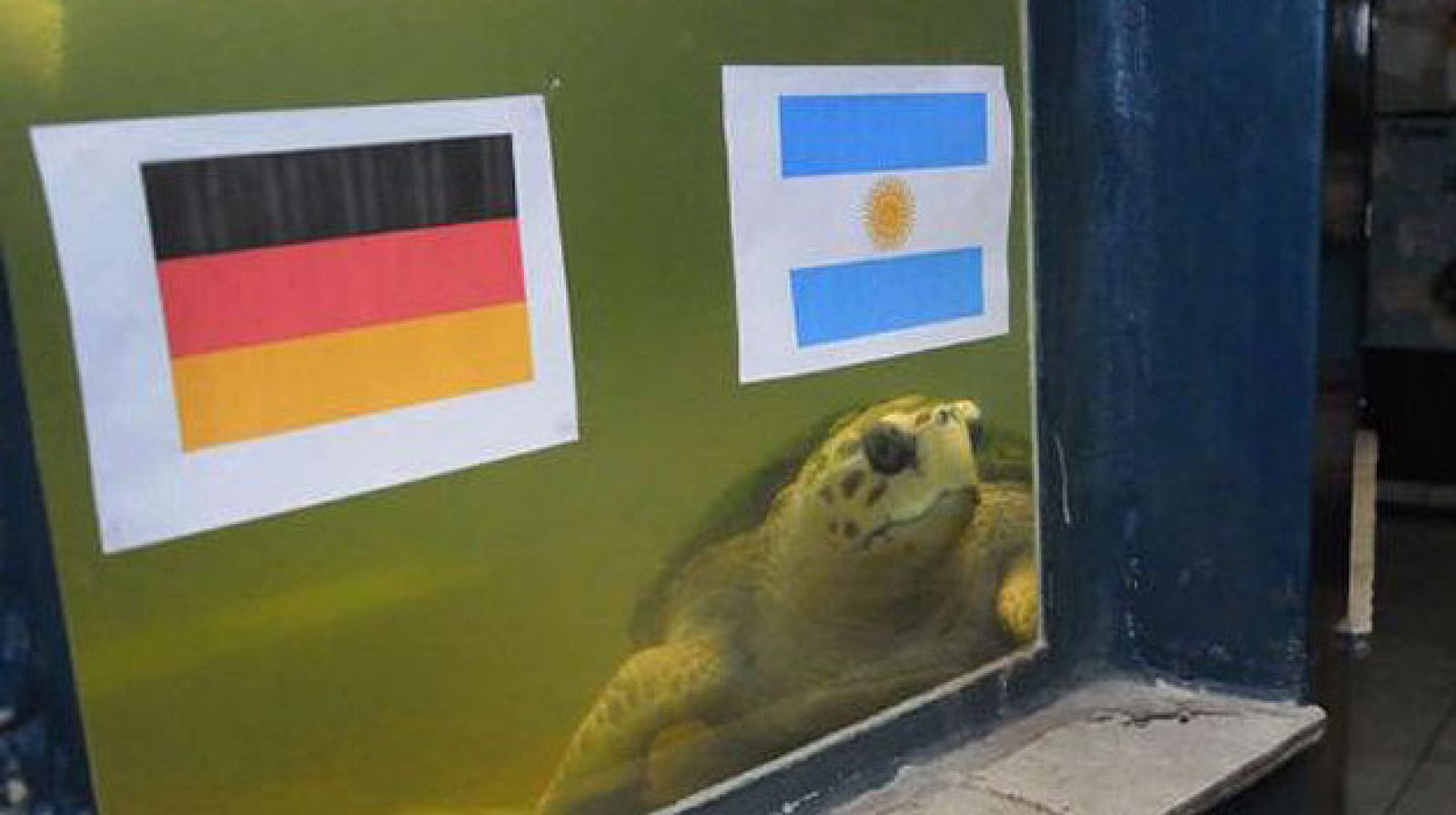 Momento en el que 'Jorge' predice la victoria de Argentina