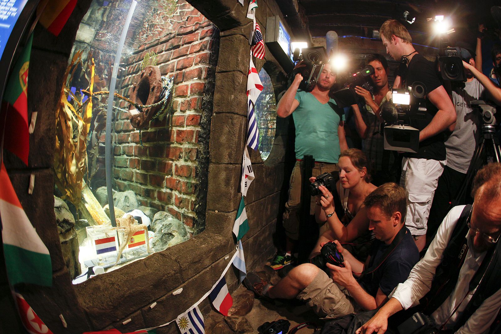 Media representatives gather in front of a window of the aquarium of octopus "Paul" better known as the so-called "octopus oracle" at the Sea Life Aquarium in Oberhausen