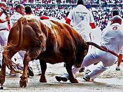 Cuatro corneados en el violento y peligroso último encierro de San Fermín 2010, de los Jandilla