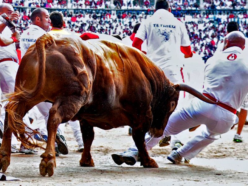 Cuatro corneados en el violento y peligroso último encierro de San Fermín 2010, de los Jandilla