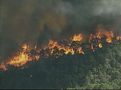 Exculpan a los cargos públicos imputados por el incendio de Guadalajara de 2005