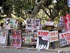 Los antitaurinos: "La prohibición de los toros en Cataluña, un éxito de la democracia"
