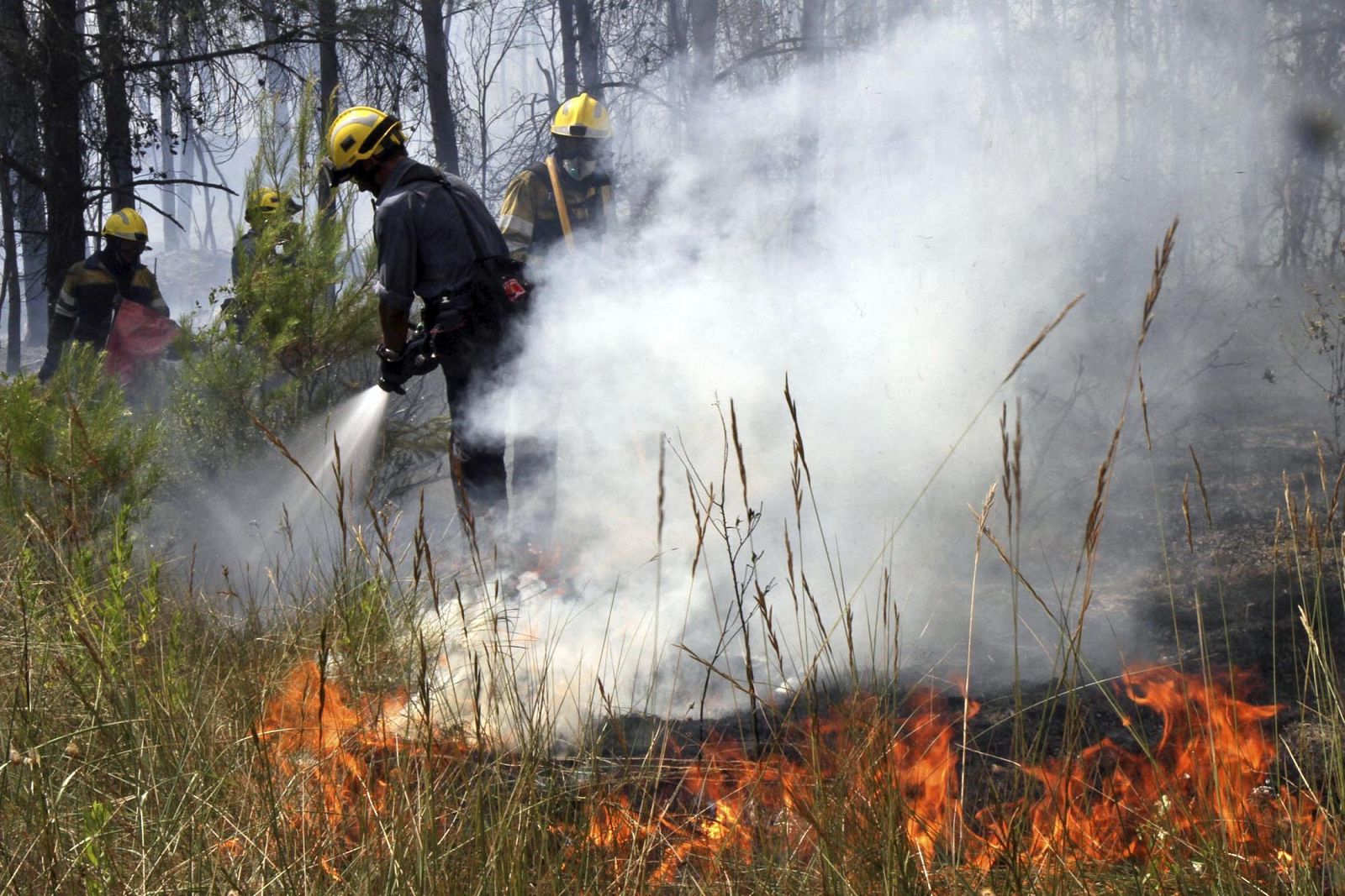 Bomberos combatiendo el fuego en Vilopriu (Girona) el pasado julio