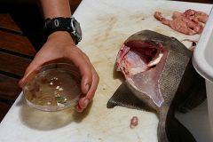 Una gran 'mancha' de basura plástica invade el océano Atlántico