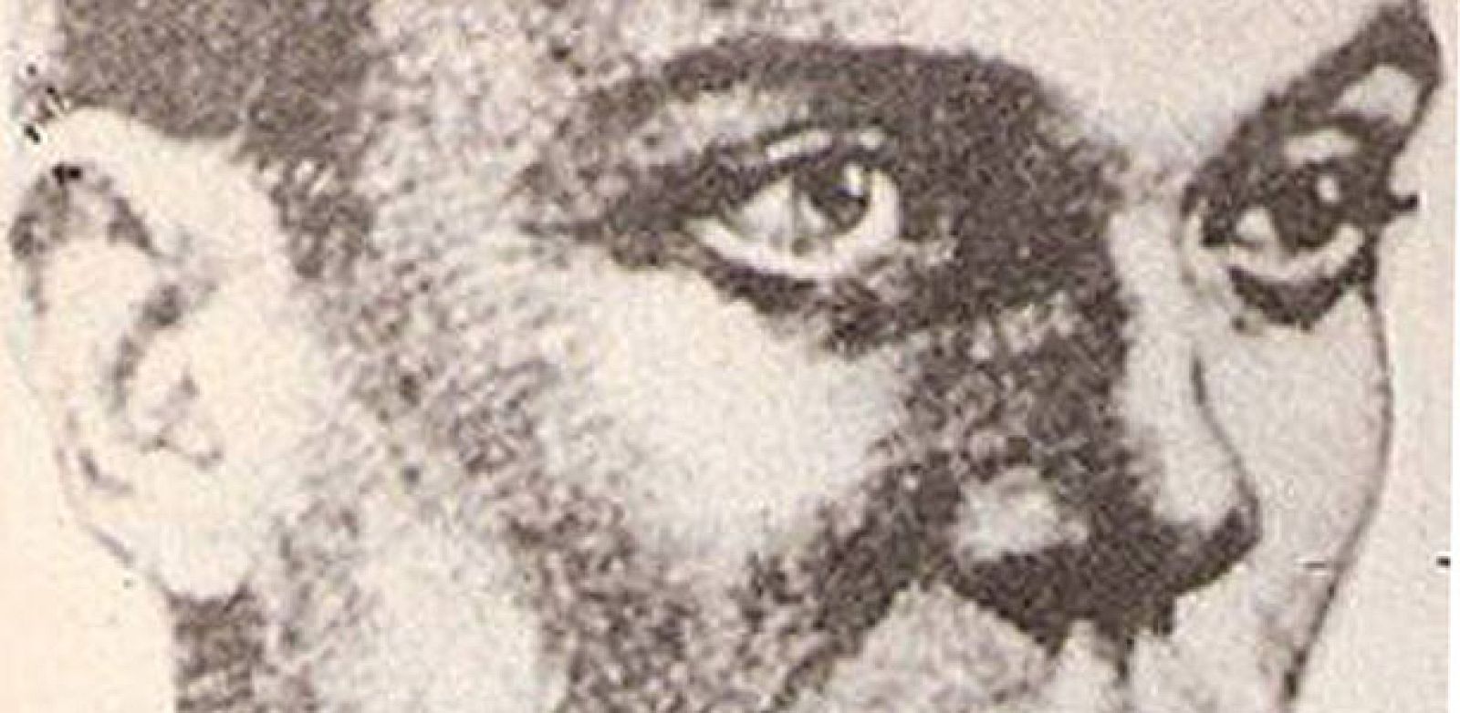 Los herederos de Miguel Hernández  defienden su  legado