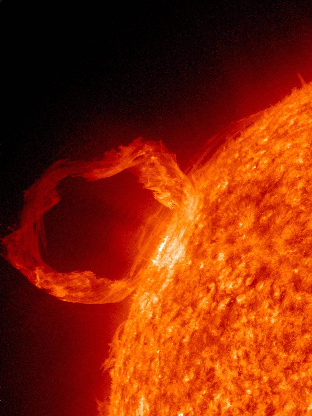 A prominence eruption from the sun is seen in this image taken by the SDO