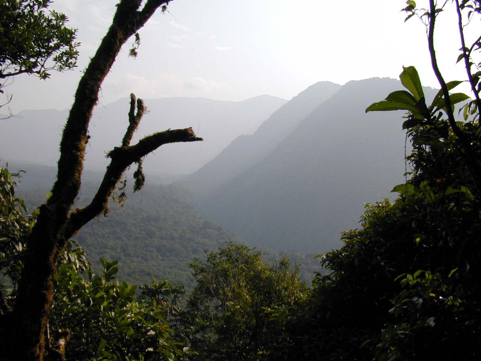 Una de las montañas donde habitan los monos africanos