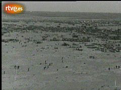 La Marcha Verde, 35 años de la pérdida del Sáhara español