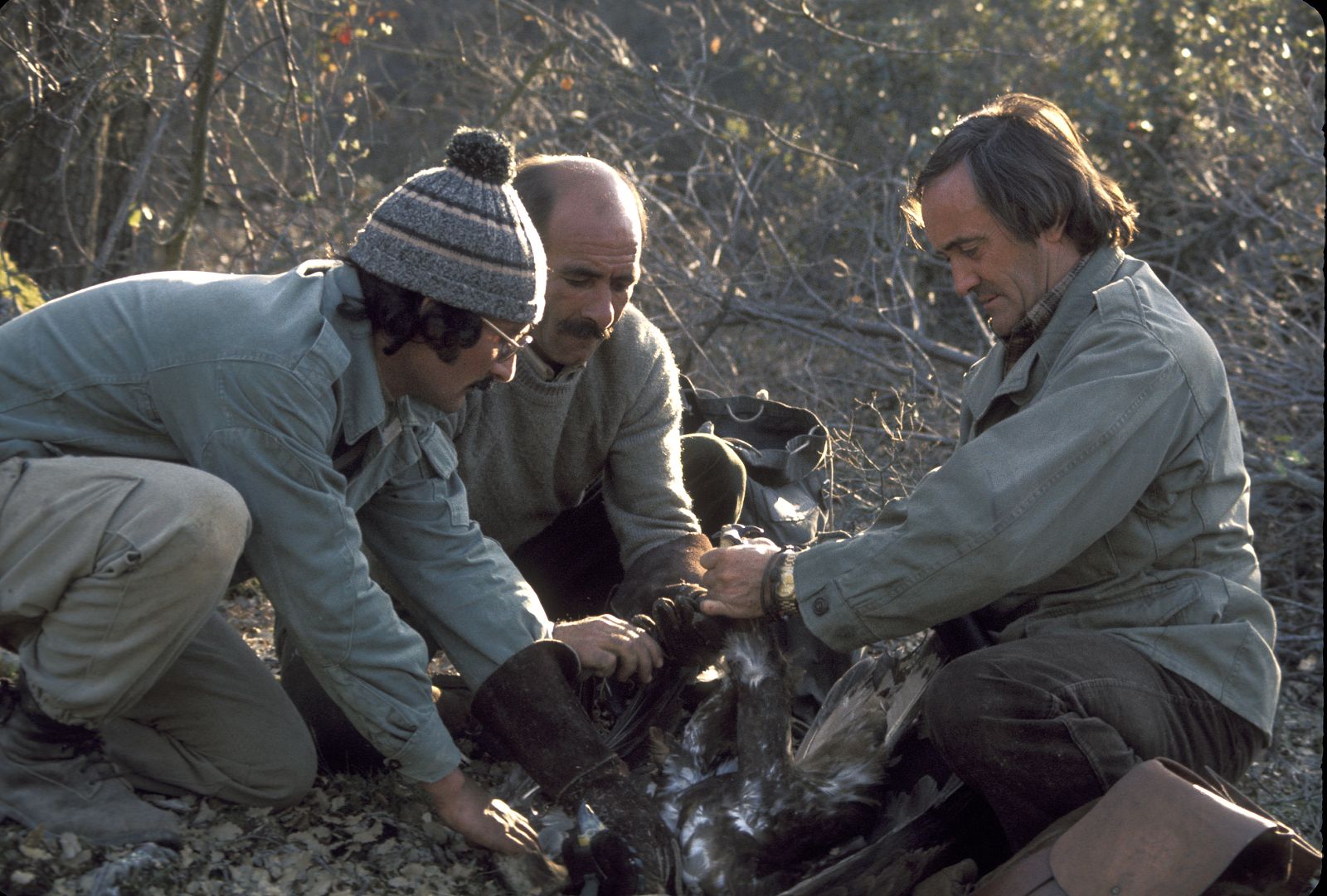 Félix y dos miembros de su equipo apresando un águila.