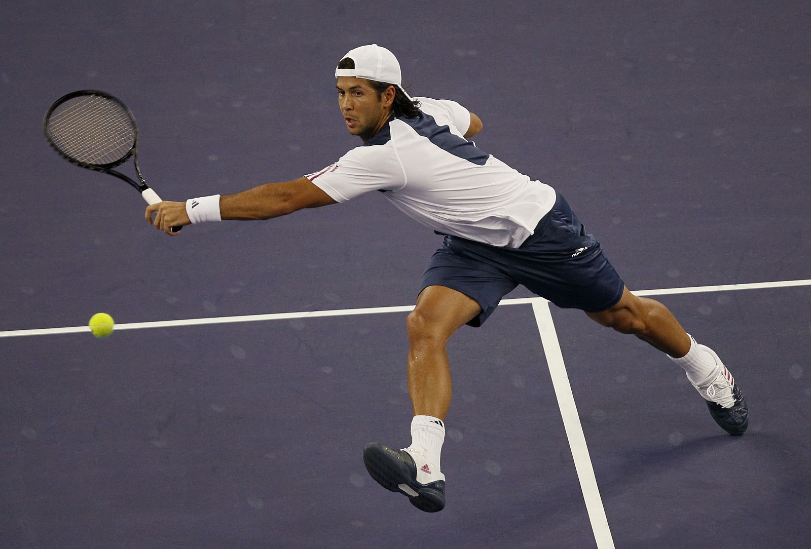 Fernando Verdasco