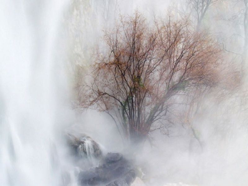 Un maestro de fotos de naturaleza con 15 años