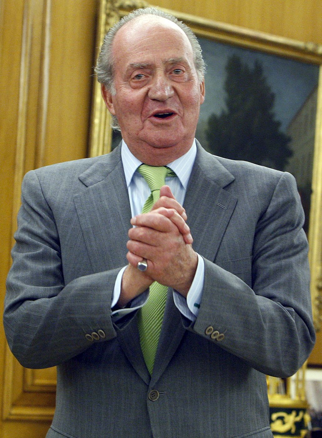 AUDIENCIA REY JUAN CARLOS