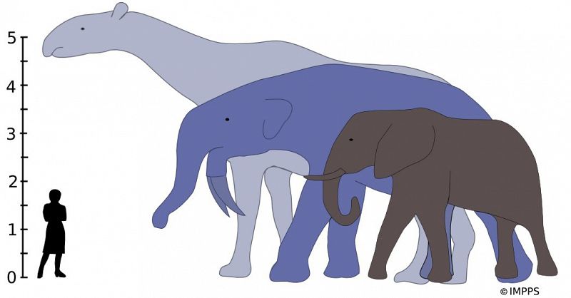 El último dinosaurio sobre la tierra El último dinosaurio sobre la tierra