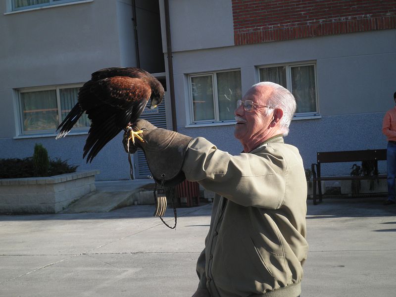 Rapaces para combatir el Alzheimer