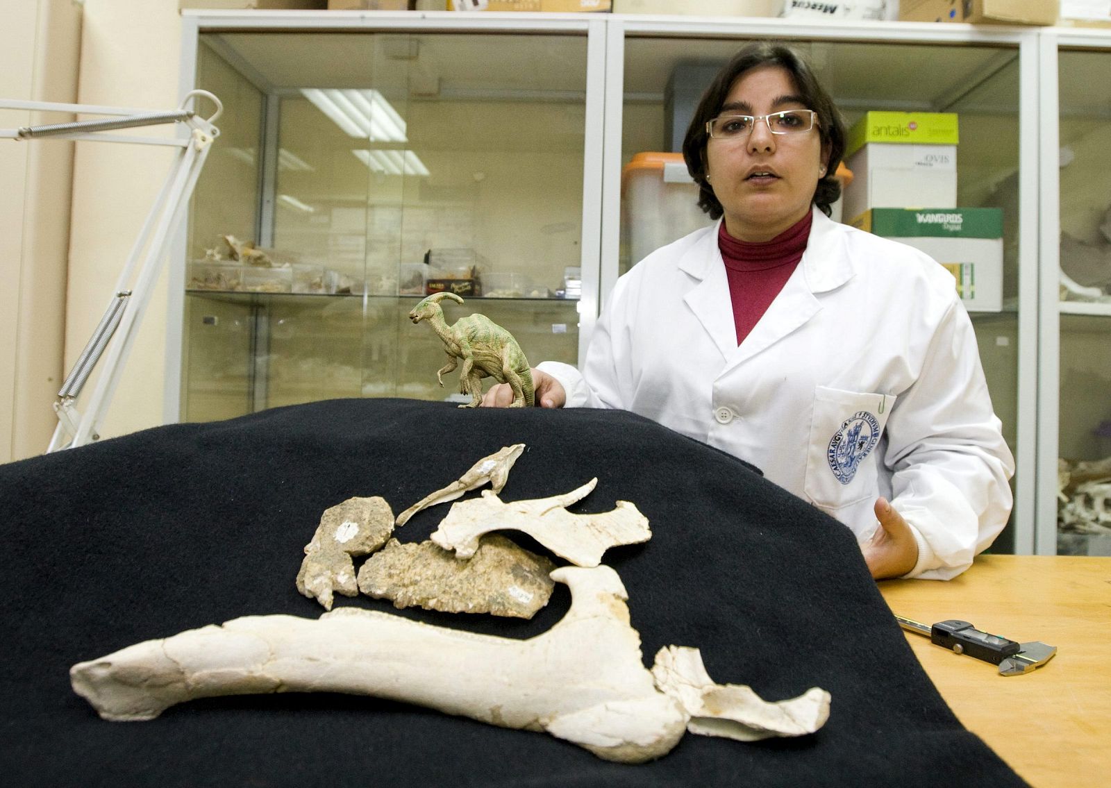 Científicos españoles descubren en Huesca un dinosaurio desconocido en Europa