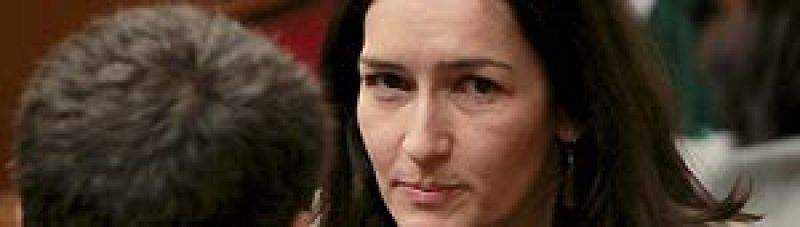 Sinde no tira la toalla: "Seguiremos trabajando por la propiedad intelectual"